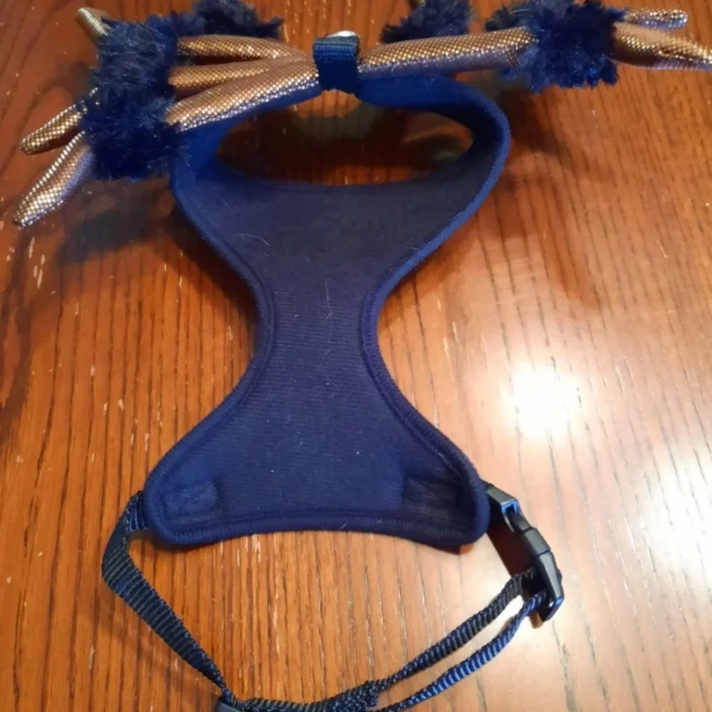 Spider costume harness for small dog Halloween